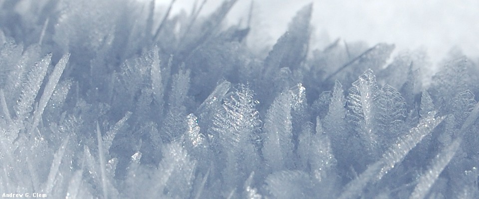 Snow crystals