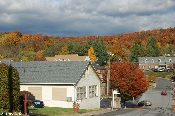 Fall foliage, on Terry Street